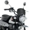 Puig Windscherm Carbon Look Honda Monkey 125 (19-)